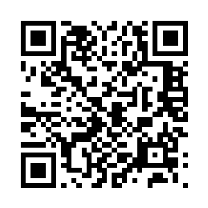 然后就看到原本不爽的俩小蠢龙瞬间就被吸引二维码生成