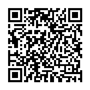 然后就看到李姝原本笑靥如花的俏脸蛋此刻微微皱了皱眉二维码生成