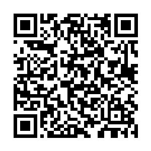 然后就看到高瑞连同他身下的骏马一下子跌落沟渠了二维码生成