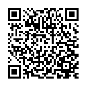 然后就看见王晓刚和大象两个人各自的短了一个盘子走了进来二维码生成