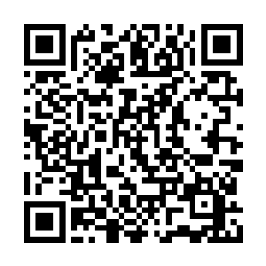 然后就见那些流浪狗们竟然有秩序地叠起了罗汉二维码生成