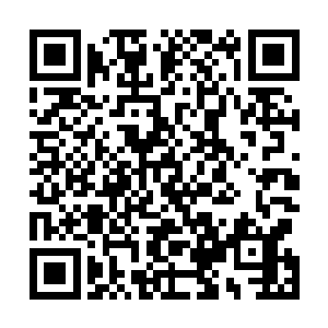 然后就见那六个从院墙缺口进入的几个人立刻又跑了出来二维码生成