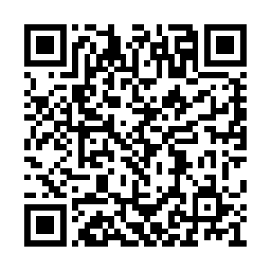 然后左冲右突……可是她发现无论自己怎样飞盾二维码生成