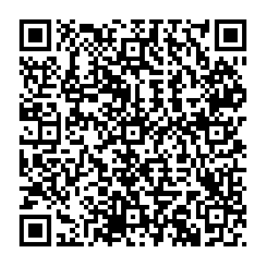 然后带球盘过了门将卡恩最终推shè空门0云达不莱梅在主场取得了领先真是意外在奥林匹克的球场二维码生成