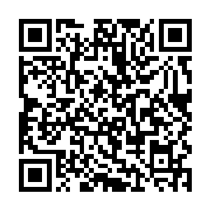 然后带着几分安慰地将手放到了老五的肩膀上拍了拍二维码生成