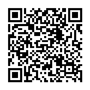 然后带着叶秋一同再回到这天山欣赏着美丽的夜色二维码生成