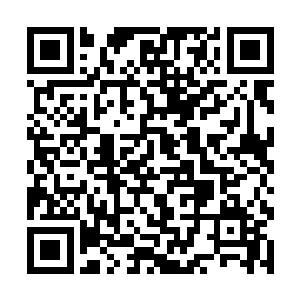 然后带着流墨墨衣服的那个婢女愣了一下就立即张口二维码生成