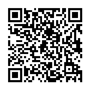 然后带着重伤状态下的烈焰佣兵团几人冒雨向着瓦克城赶去二维码生成