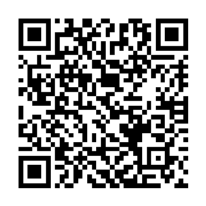 然后帮着自己把那两个行李箱抬到了韩燕的办公室里二维码生成