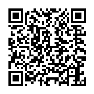 然后延森就带着我们几人一同去另一个部落想要找回脸面二维码生成