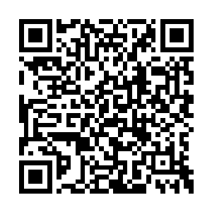 然后开口对拉着自己一路在密林飞驰的牡丹说道二维码生成