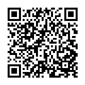 然后开始全神贯注地凝视起了那个通往地心世界的洞口二维码生成