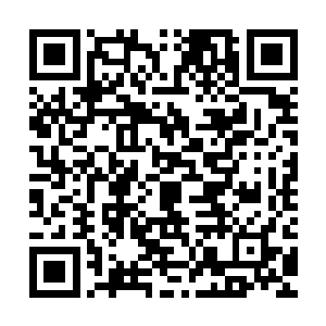 然后张开樱桃小嘴无声的吩咐他们的贴身丫头把他们抱回家睡觉二维码生成