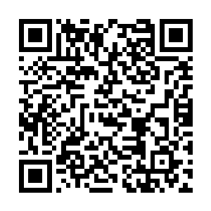 然后张铁就狠狠的把沙隆的脸磕在了桌子的餐盘上二维码生成