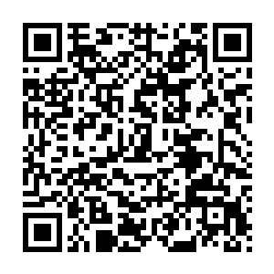 然后张铁换了一副表情看着跟着这几个家伙来的那些牲口们叫了起来二维码生成