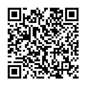 然后当他们尝试告御状才发现连个告御状的途径都没有二维码生成