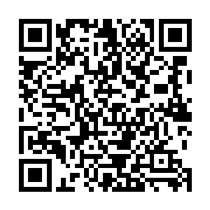 然后当做收藏品收到了随身携带的血魂寺的玄武秘库之内二维码生成