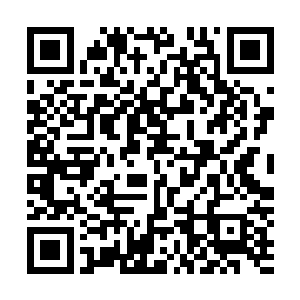 然后当即就壁虎断尾的自己断开丢弃了被血焰卷住的这一截二维码生成