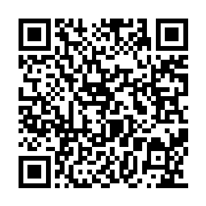 然后当着一堆孩子的面暴打了一个教孩子的教练二维码生成