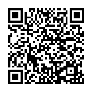 然后当着赵长枪的面做出了对林伟华的处理决定二维码生成