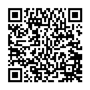 然后彻彻底底地让林中卿成为他李英杰任其打骂的一条卑微的狗二维码生成