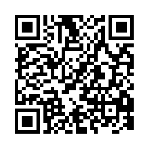 然后往每个杯子倒了一片椭圆形的树叶二维码生成