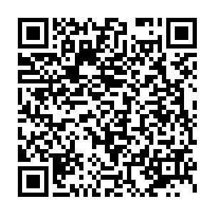 然后很尴尬的解释了一下他这个吸血鬼是怎么被别的吸血鬼盘剥的二维码生成