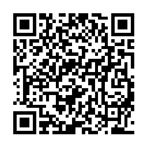 然后快速拿起自己的小臂骨整齐地放置在忽必强的断臂上二维码生成