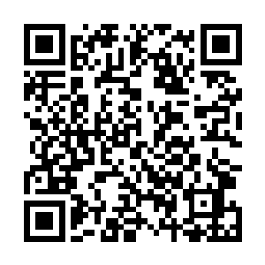 然后惊讶的发现通讯器上原本满格的信号消失的无影无踪二维码生成