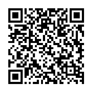 然后慢悠悠的向着秦方这边靠近过来了……它的脚步并不是很快二维码生成