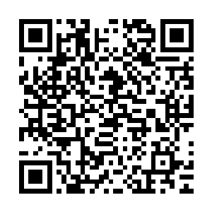然后我就听到了一声惨叫声一只血淋淋的手臂就掉落在了地上二维码生成