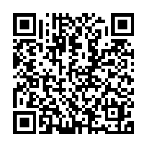 然后我就看到空中的地球星核被一片九彩的触手团团包裹在内部二维码生成