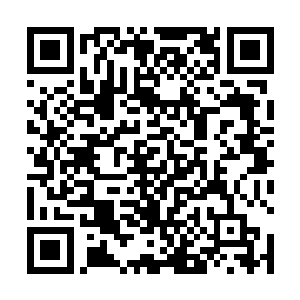 然后我就看到风奇泽整个人被什么东西给扑飞了出去了二维码生成