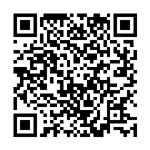 然后所有的目光转到了大副马特还有水手长乔伊的身上二维码生成