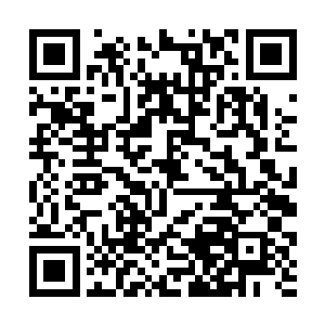 然后才艰难的爬起来摇摇晃晃的奔着一大堆东西过去二维码生成