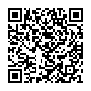 然后才长舒一口气抬起手来看看手上的珍珠手链二维码生成