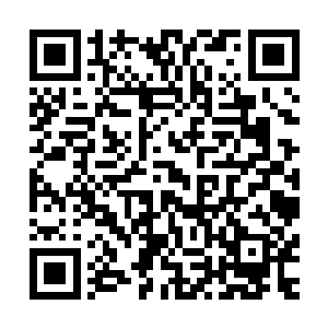 然后扔下几个小苹果叫她把作业洗完了就把袋子拎进了卧室里二维码生成