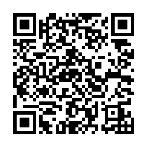 然后把它的脑袋连带着整个身体给塞进了自己的嘴巴里面二维码生成