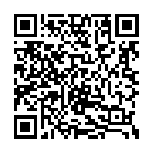 然后把手里的药材拿起来给花蕊讲这草药的药性二维码生成