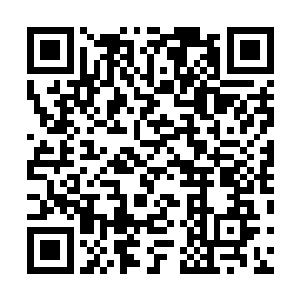 然后把早就准备好的金蛹养肌粉一点点的倒在她的伤口上二维码生成