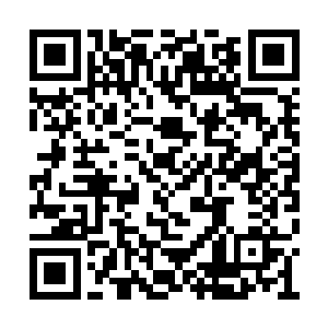 然后把藏在窝棚里的土豆和地瓜翻出来埋到坑里二维码生成