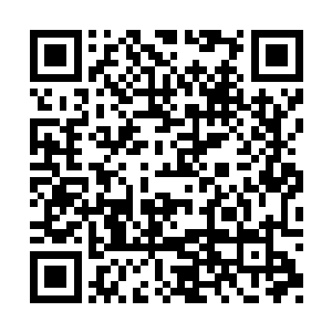 然后把这个狡猾如灵狐的女人给丢到车子上运走二维码生成