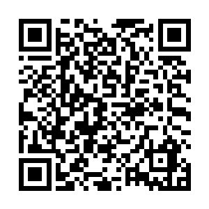 然后抓到一颗宝珠和一块半个巴掌大的令牌就收回了手二维码生成