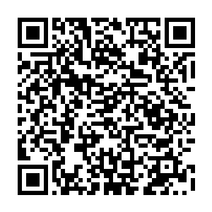 然后抽调出还盘横在神魂中修补损失尚未完全沉眠战斗意识的血妖姬之力二维码生成
