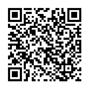 然后拉过胡梅英和一脸愠色的伊兰雪的手转身便往里走二维码生成