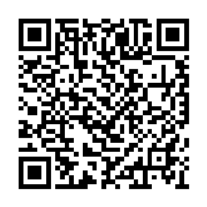 然后拥有最为上等的顶级神品血脉或者顶级神体二维码生成