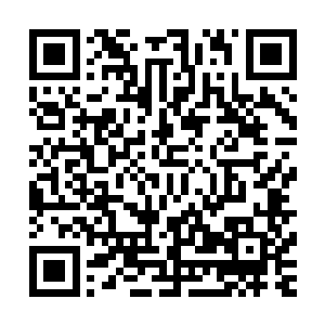然后拿出另一个细长的盒子把灵花从泥土中抽离出来放了进去二维码生成