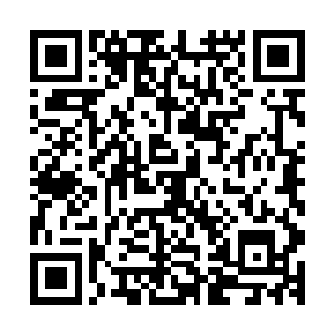 然后拿手轻轻的在龙天漪带着一个青印的鼻子上轻轻的摸了摸二维码生成