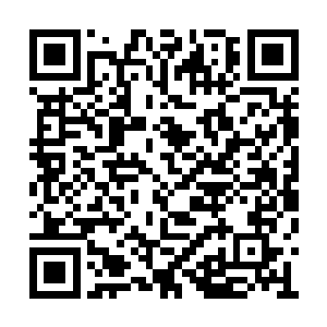 然后拿着两杯屎黄屎黄还冒着热气的玩意儿出来二维码生成