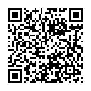 然后拿着已经洗清干净的茶杯给夏云杰泡了杯茶水二维码生成